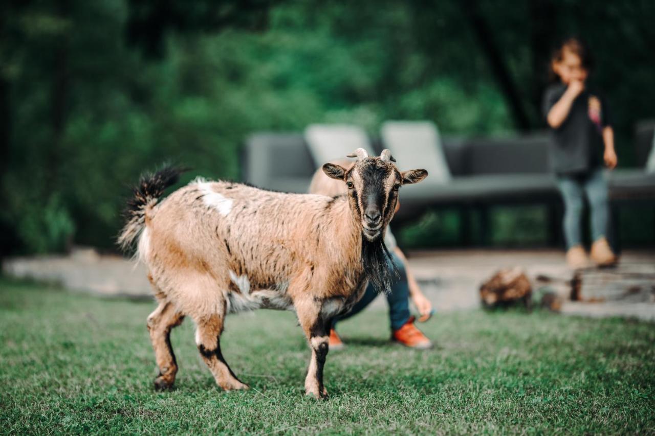 Goat'S Paradise Bohinj Ngoại thất bức ảnh